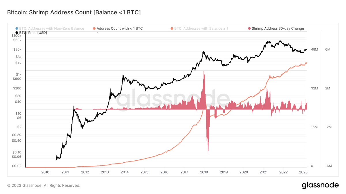 Here for the shrimp: The importance of everyday investors to the success of crypto and DeFi