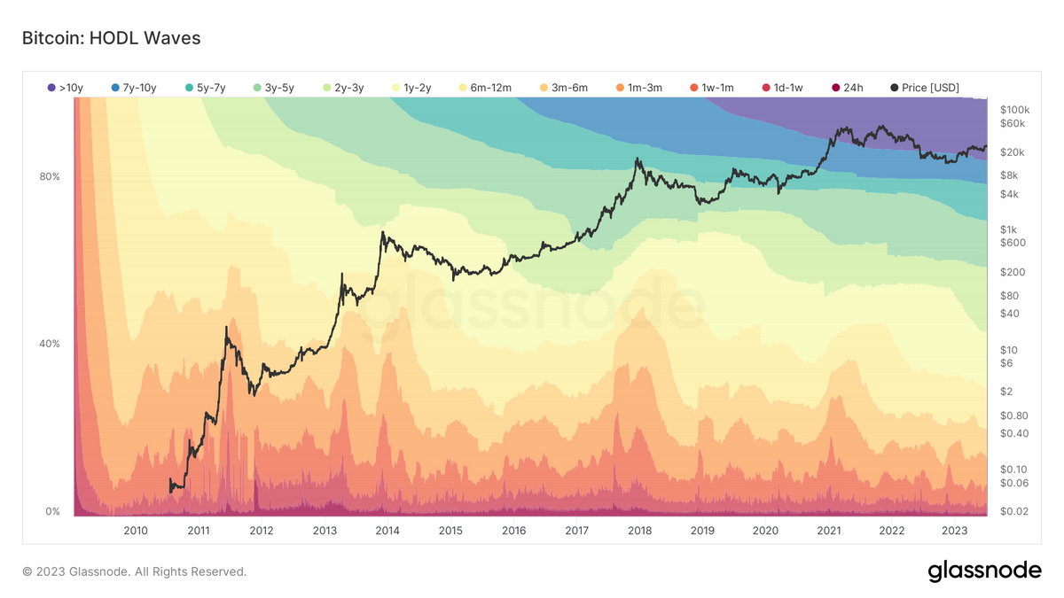 What is bitcoin net accumulation and why does it matter? | DYOR